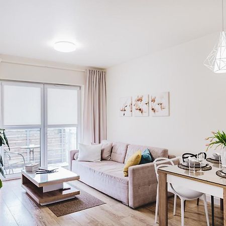 Apartament Niko Stary Toruń Dış mekan fotoğraf