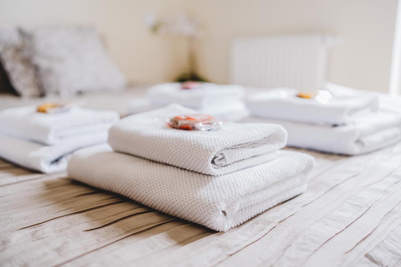 Apartament Niko Stary Toruń Dış mekan fotoğraf